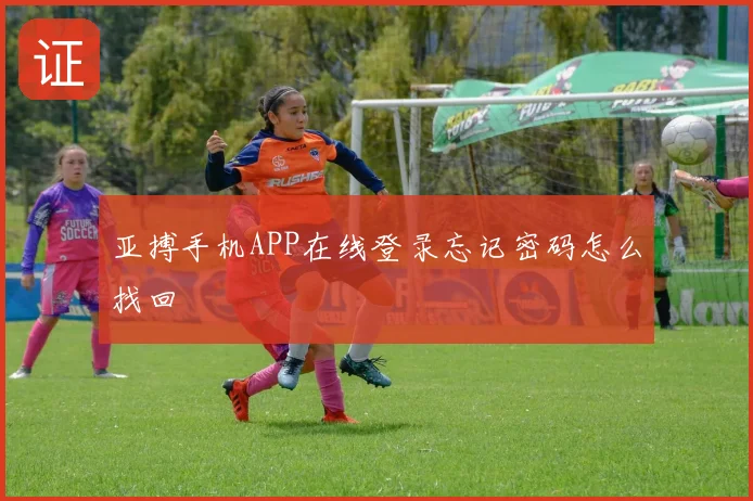 亚搏手机APP在线登录忘记密码怎么找回